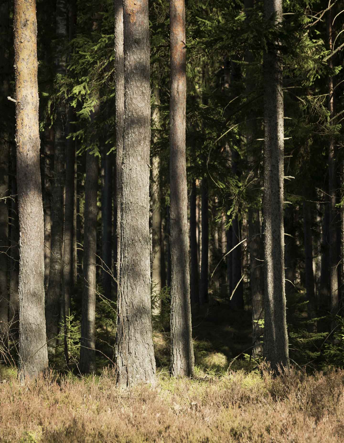 Malmgård Sjundeå produkter